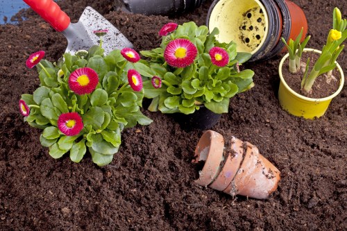 Professional planting services in a Chessington garden border