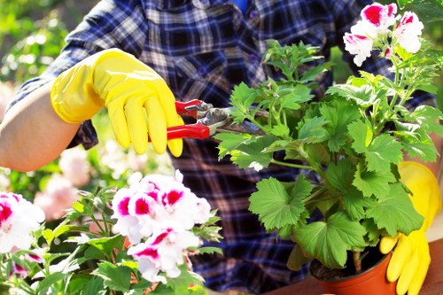 Landscapers managing eco-friendly waste sorting in Chessington