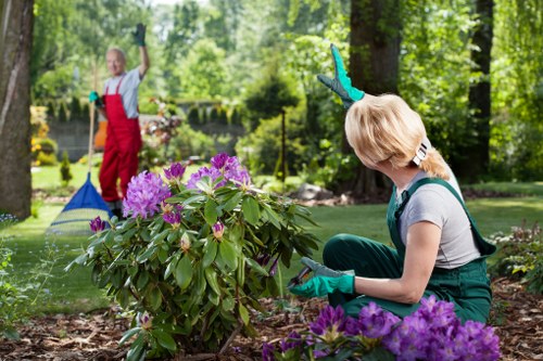Garden maintenance in Chessington with lawn and border care