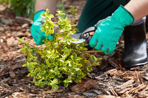 Preparing a level base for shed installation in Chessington