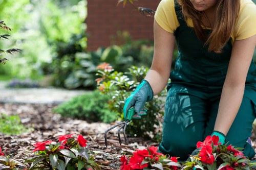 Planning a flower bed design in a Chessington garden