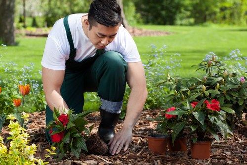 Supervisor reviewing notes during a landscaping complaint investigation