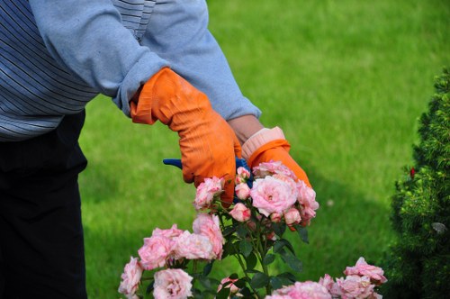 Clean and organised landscaping area after safe waste removal