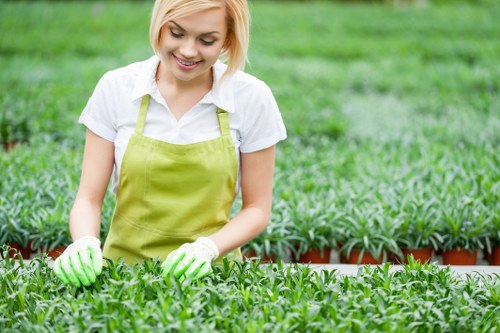 Seasonal Chessington lawn maintenance with aeration and feeding