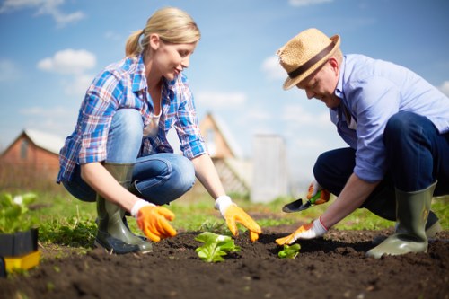 Worker assessing site conditions before beginning landscaping tasks