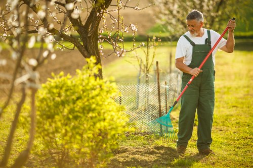 Autumn lawn care in Chessington with leaf removal and treatment