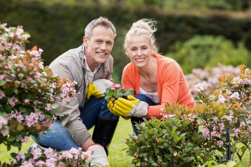 Professional lawn care in Chessington improving garden grass